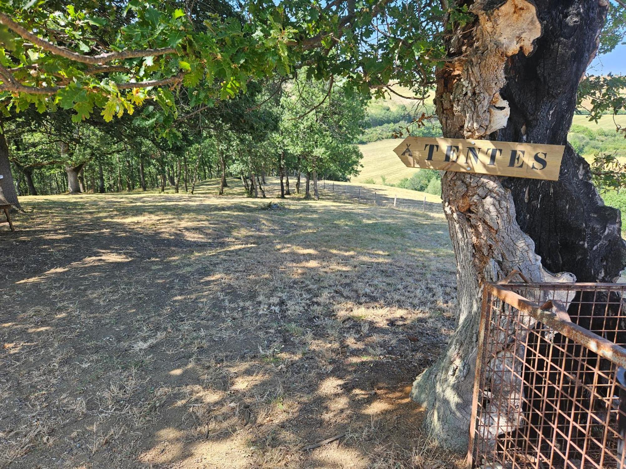 Ferme De Castel Pouzouilh *